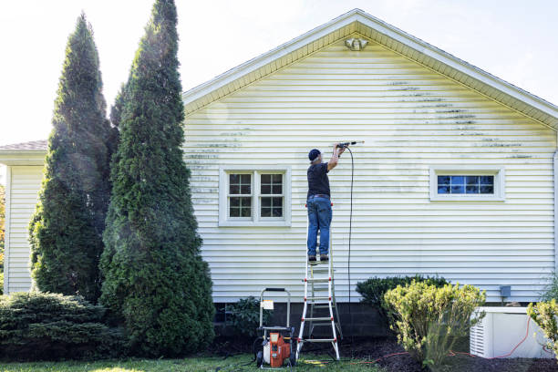 Best Fence Cleaning and Maintenance in Palo, IA